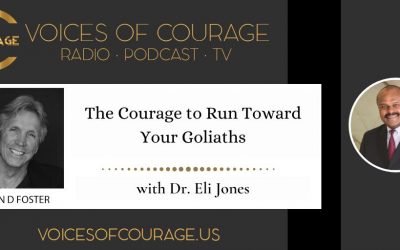 My Interview on the “Voices of courage show” – The Courage to Run Toward Your Goliaths